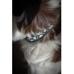 Coleira para cão Pénélope Pearl Preto / branco Coleira para cão Pénélope Pearl Preto / branco