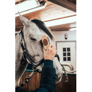 Escova de cabeça Borstiq Escova de cabeça Borstiq