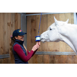 Suporte para pedra de sal Likit 650 g Azul Suporte para pedra de sal Likit 650 g Azul