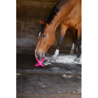 Brinquedo Bizzy Ball Likit Fúcsia Rosa