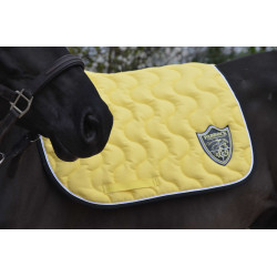 Tapete Paddock Sports Origine Amarelo Tapete Paddock Sports Origine Amarelo