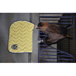 Tapete Paddock Sports Origine Amarelo Tapete Paddock Sports Origine Amarelo