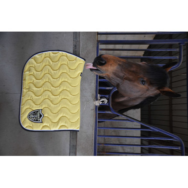 Tapete Paddock Sports Origine Amarelo Tapete Paddock Sports Origine Amarelo