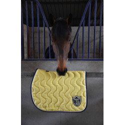 Tapete Paddock Sports Origine Amarelo Tapete Paddock Sports Origine Amarelo