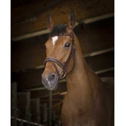 Bridon Norton Pro Rock Havana Castanho Bridon Norton Pro Rock Havana Castanho