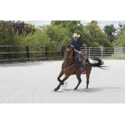 Sela Westride por Franck Perret Aurora Avelã Castanho Sela Westride por Franck Perret Aurora Avelã Castanho