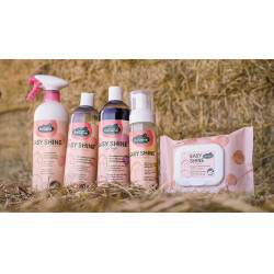 Easy Shine Wipe Ravene Toalhetes de limpeza