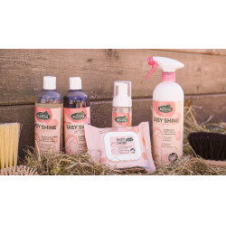 Easy Shine Wipe Ravene Toalhetes de limpeza