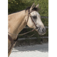 Bridon Westride por Franck Perret Colorado Chocolate Castanho Bridon Westride por Franck Perret Colorado Chocolate Castanho
