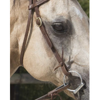 Bridon Westride por Franck Perret Colorado Chocolate Castanho Bridon Westride por Franck Perret Colorado Chocolate Castanho