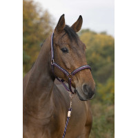 Caveção + guia Norton Brillant Ameixa / marinho / ou rosa Violeta