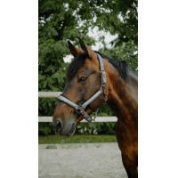 Cabridão Equithème Glowy Preto / preto