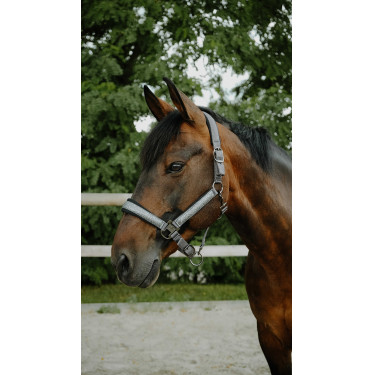 Cabridão Equithème Glowy Preto / preto Cabridão Equithème Glowy Preto / preto