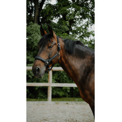 Cabridão Equithème Glowy Preto / preto Cabridão Equithème Glowy Preto / preto