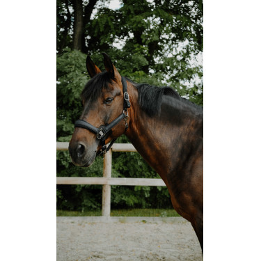 Cabridão Equithème Glowy Preto / preto Cabridão Equithème Glowy Preto / preto