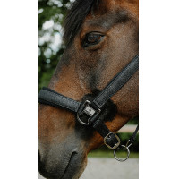 Cabridão Equithème Glowy Preto / preto