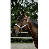 Cabridão Equithème Glowy Preto / preto Cabridão Equithème Glowy Preto / preto