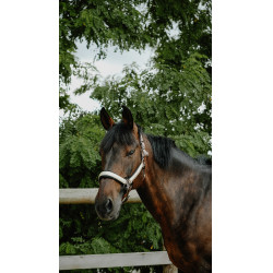 Cabridão Equithème Glowy Bege/dourado