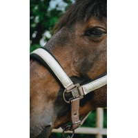 Cabridão Equithème Glowy Preto / preto Cabridão Equithème Glowy Preto / preto