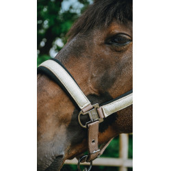 Cabridão Equithème Glowy Bege/dourado