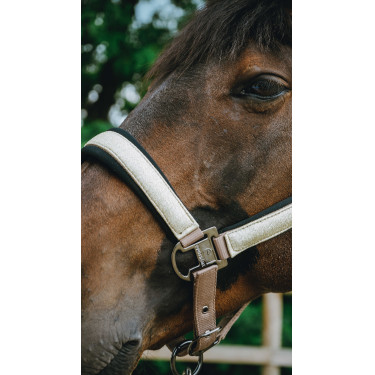Cabridão Equithème Glowy Bege/dourado