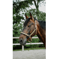 Cabridão Equithème Glowy Bege / cobre