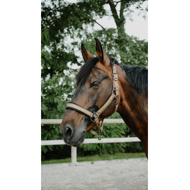 Cabridão Equithème Glowy Bege / cobre