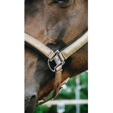 Cabridão Equithème Glowy Bege / cobre