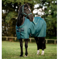 Capa Horseware Amigo Ripstop 900D Turnout 100g Preto / azul clássico