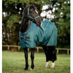 Capa Horseware Amigo Ripstop 900D Turnout 100g Dinastia verde / marinho / prateado Capa Horseware Amigo Ripstop 900D Turnout 100g Dinastia verde / marinho / prateado