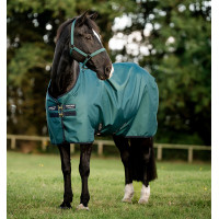 Capa Horseware Amigo Ripstop 900D Pônei Turnout 0g Dinastia verde / marinho / prateado