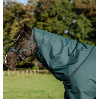 Capuz Horseware Amigo Ripstop 900D Turnout 150g Dinastia verde / marinho / prateado Capuz Horseware Amigo Ripstop 900D Turnout 150g Dinastia verde / marinho / prateado