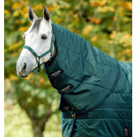 Cobre-pescoço de estábulo Horseware Amigo Ripstop Insulator 100g Dinastia verde / marinho / prateado