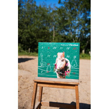 Calendário do Advento Natural'Christmas Gourmet 2025 Natural'Innov