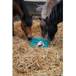 Calendário do Advento Natural'Christmas Gourmet 2025 Natural'Innov