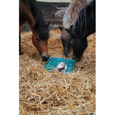 Calendário do Advento Natural'Christmas Gourmet 2025 Natural'Innov