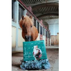 Calendário do Advento Natural'Christmas Gourmet 2025 Natural'Innov