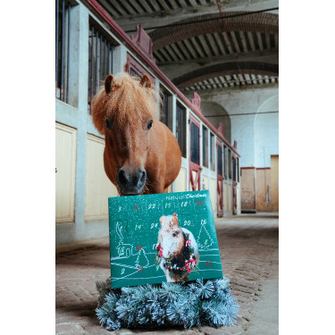 Calendário do Advento Natural'Christmas Gourmet 2025 Natural'Innov