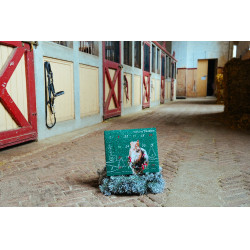 Calendário do Advento Natural'Christmas Gourmet 2025 Natural'Innov