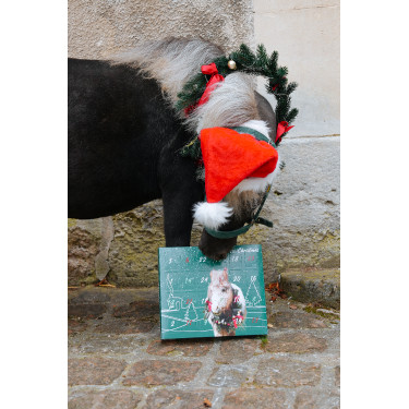 Calendário do Advento Natural'Christmas Gourmet 2025 Natural'Innov