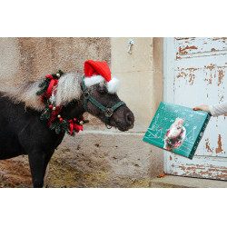 Calendário do Advento Natural'Christmas Gourmet 2025 Natural'Innov