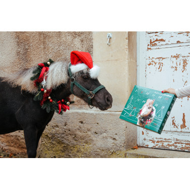 Calendário do Advento Natural'Christmas Gourmet 2025 Natural'Innov