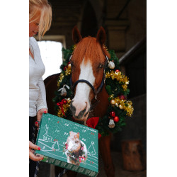 Calendário do Advento Natural'Christmas Gourmet 2025 Natural'Innov