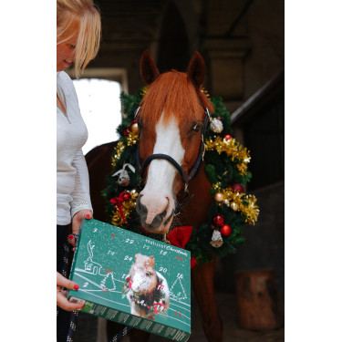 Calendário do Advento Natural'Christmas Gourmet 2025 Natural'Innov