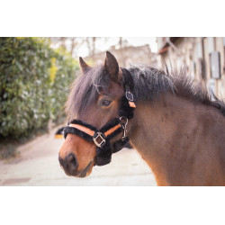 Caveção Pénélope Soft Preto Caveção Pénélope Soft Preto