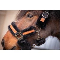 Caveção Pénélope Soft Preto Caveção Pénélope Soft Preto