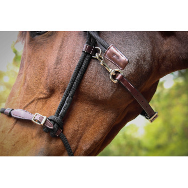 Cabresto Pénélope Etológico Havana / preto Castanho Cabresto Pénélope Etológico Havana / preto Castanho
