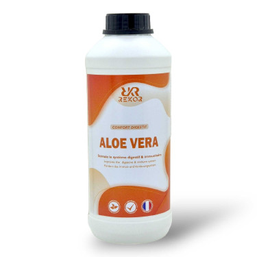 Suplemento alimentar Rekor Aloe Vera suco