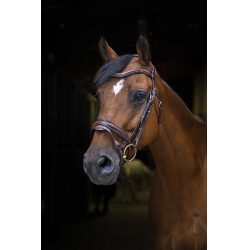 Bridon Eric Thomas Pro Design Havana Castanho Bridon Eric Thomas Pro Design Havana Castanho