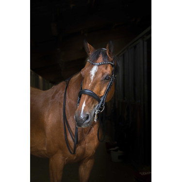 Selim Eric Thomas Hybrid Preto